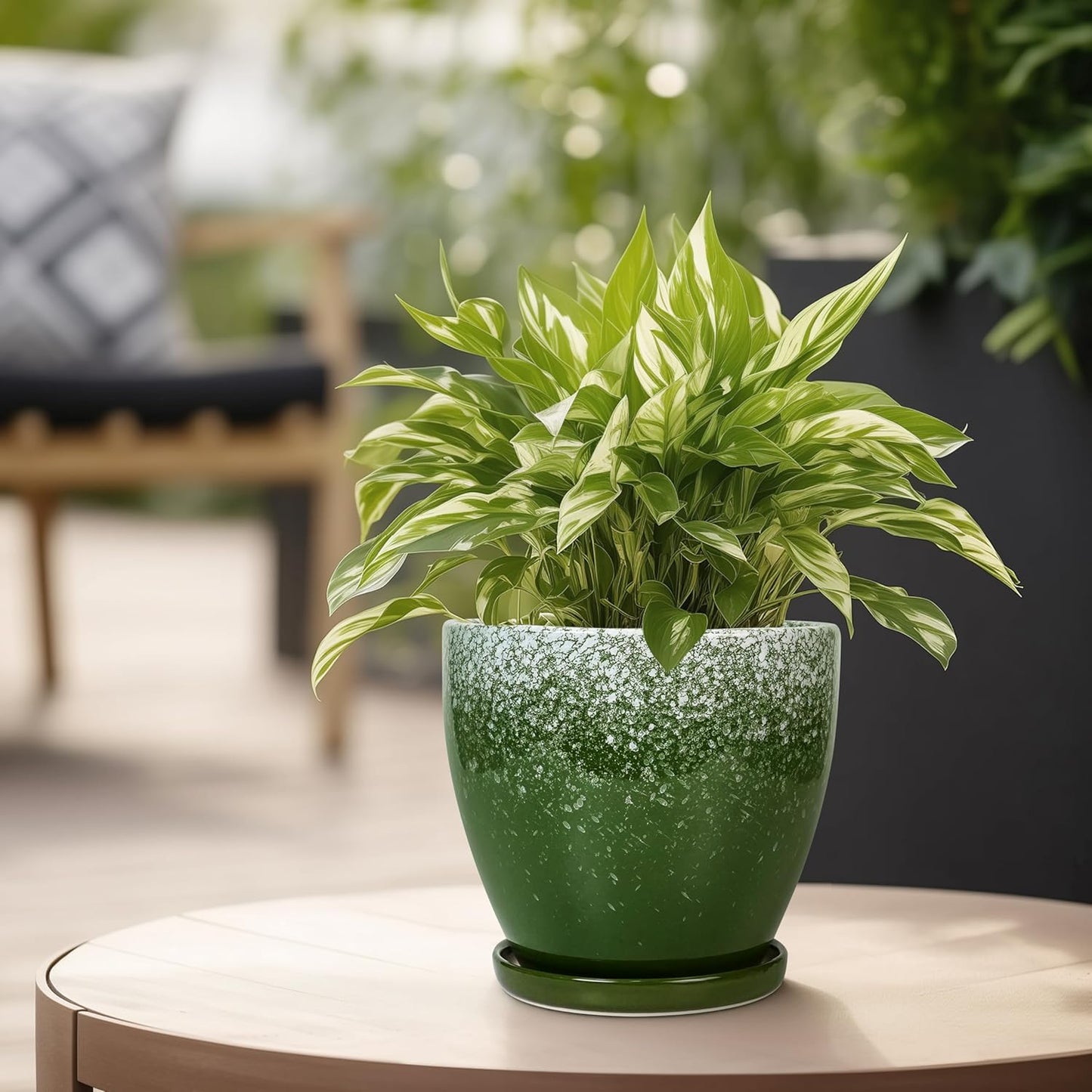 Ceraimc Plant Pot - 6 Inch Planter with Drainage and Plant Tray, Round Succulent Planters, Decorative Flower Pot for Indoor, Room Office Patio House Decor, Gifts for Women Men, Green
