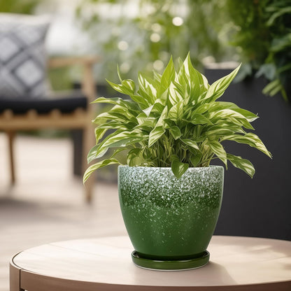 Ceraimc Plant Pot - 6 Inch Planter with Drainage and Plant Tray, Round Succulent Planters, Decorative Flower Pot for Indoor, Room Office Patio House Decor, Gifts for Women Men, Green