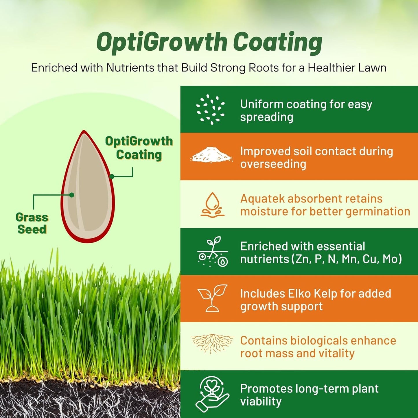 Outsidepride Fireball & Hattrick Rye Grass Seed Blend - 25 Lbs. Wear Tolerant, Fine Leaf Texture Perennial Rye Grass Seeds for Lawn, Sports Turf & More, OptiGrowth Coated for Better Establishment