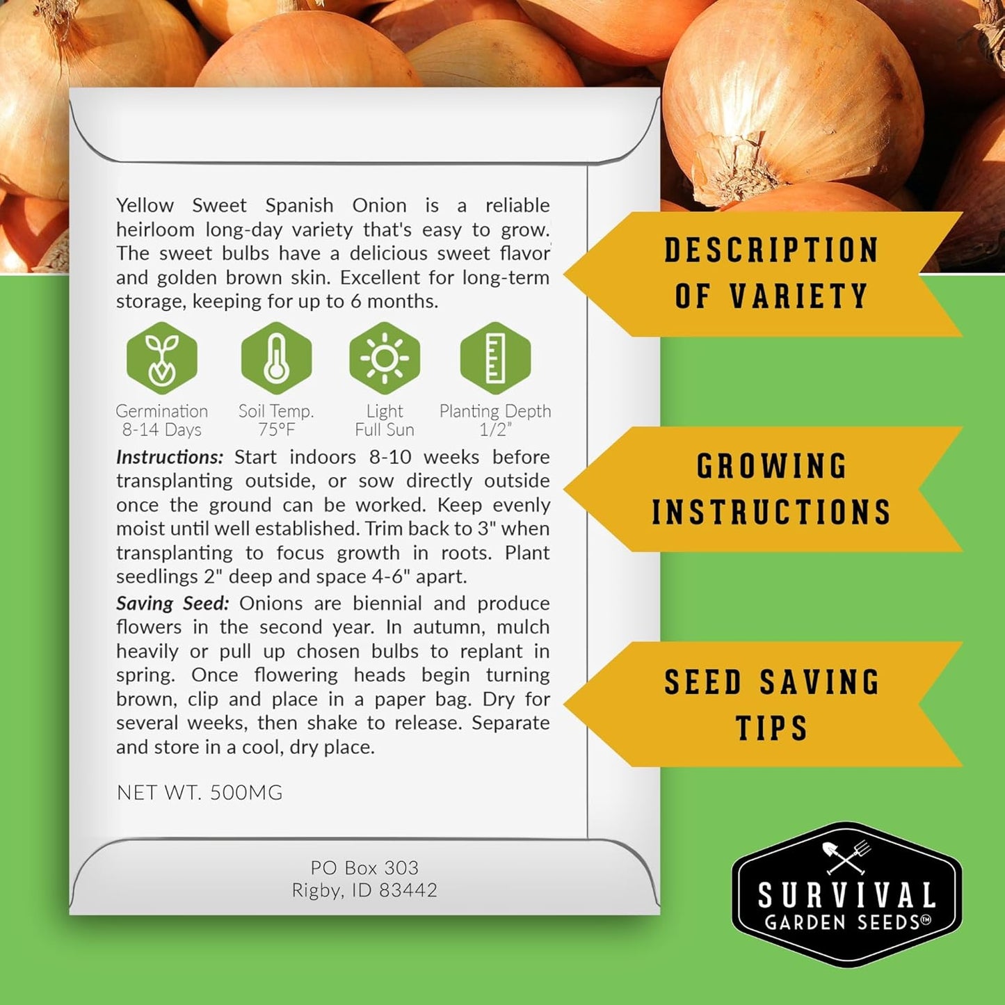 Yellow Sweet Spanish Onion Seed for Planting - 1 Packet with Instructions to Plant and Grow Long Day Onions in Your Home Vegetable Garden - Non-GMO Heirloom Variety - Survival Garden Seeds