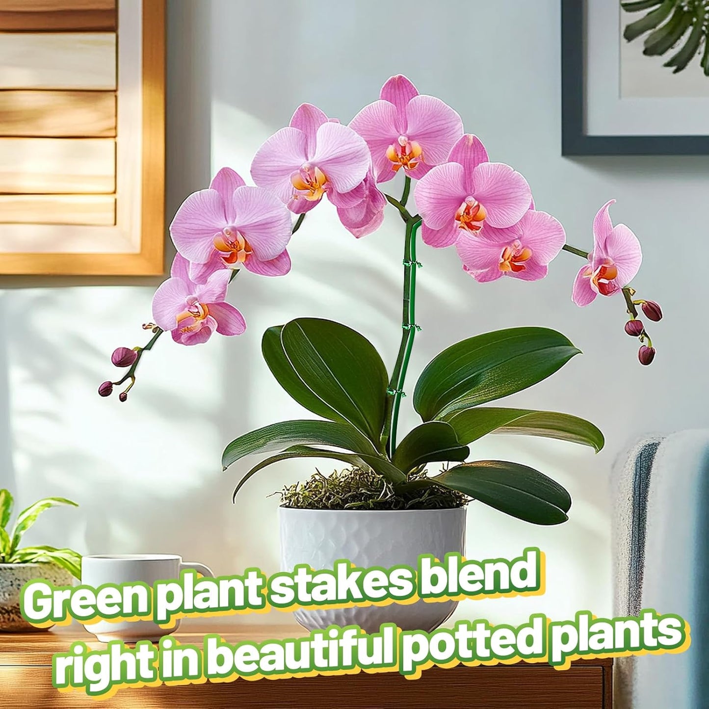 16ft Bendable & Cuttable Plant Stakes, Green Orchid Flower Stem Support Sticks with 800 Ties for Monsteras Money Trees Indoor Potted Plants Beans