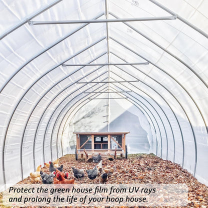 6 Mil Clear Greenhouse Plastic Sheeting,Transparent Plastic Film for Greenhouse, Resistant Polyethylene Film for Farm,Garden (6.5ftx19.7ft)