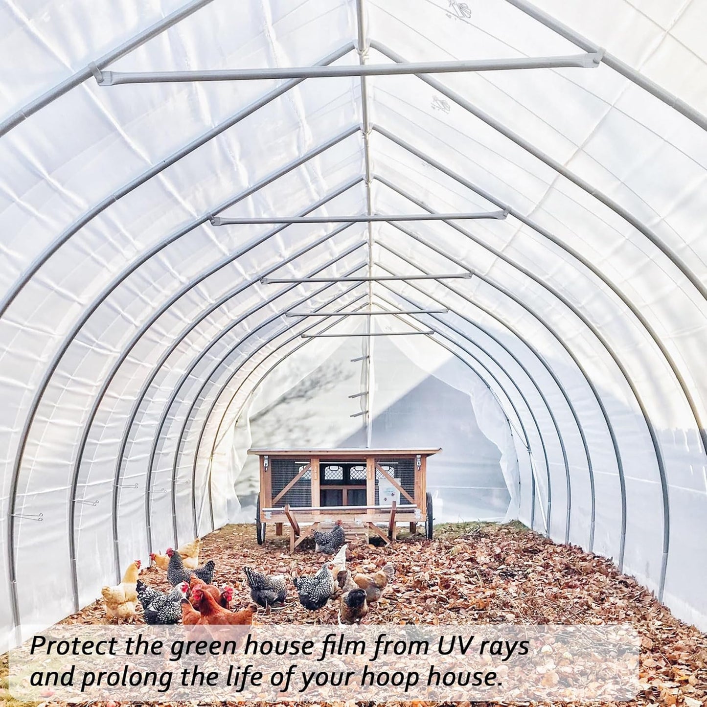 6 Mil Clear Greenhouse Plastic Sheeting,9.8FTx19.7FT Transparent Plastic Film for Greenhouse, Resistant Polyethylene Film for Farm,Garden…