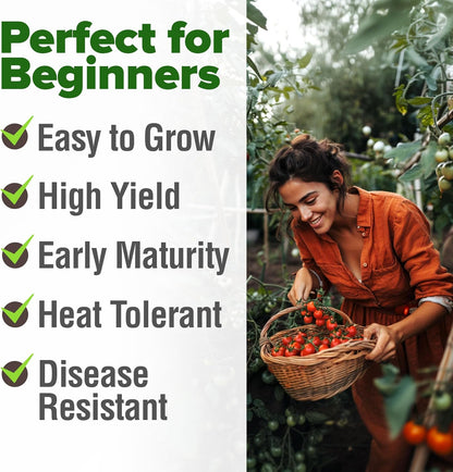 HOME GROWN Large Red Cherry Tomato Seeds 2 Pack (Solanum lycopersicum) - Approx.1000 Non-GMO Heirloom Tomato Seeds for Planting Vegetable Seeds for Homesteading, Sustainable Living, and Home Gardening