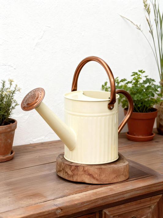 Bamworld Metal Watering Can for Indoor Outdoor Plant 1/2 Gallon Creamy
