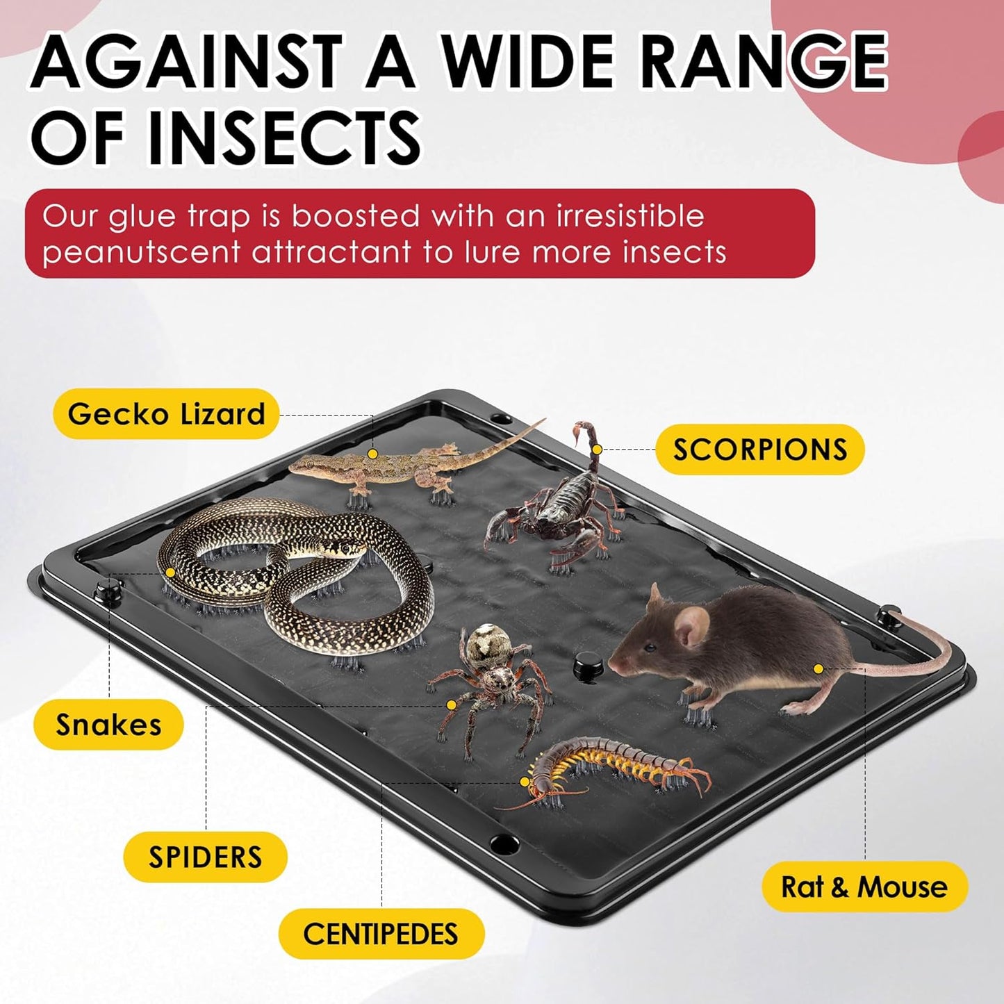 Qualirey 10 Pack Jumbo Rat & Mouse Glue Traps, 11.8 X 9.84 in Large Heavy Duty Mouse Traps Indoor for Home, Pre Scented Adhesive Plastic Tray with for Spider, Snake, Mice, Kids and Pet Safe (Black)