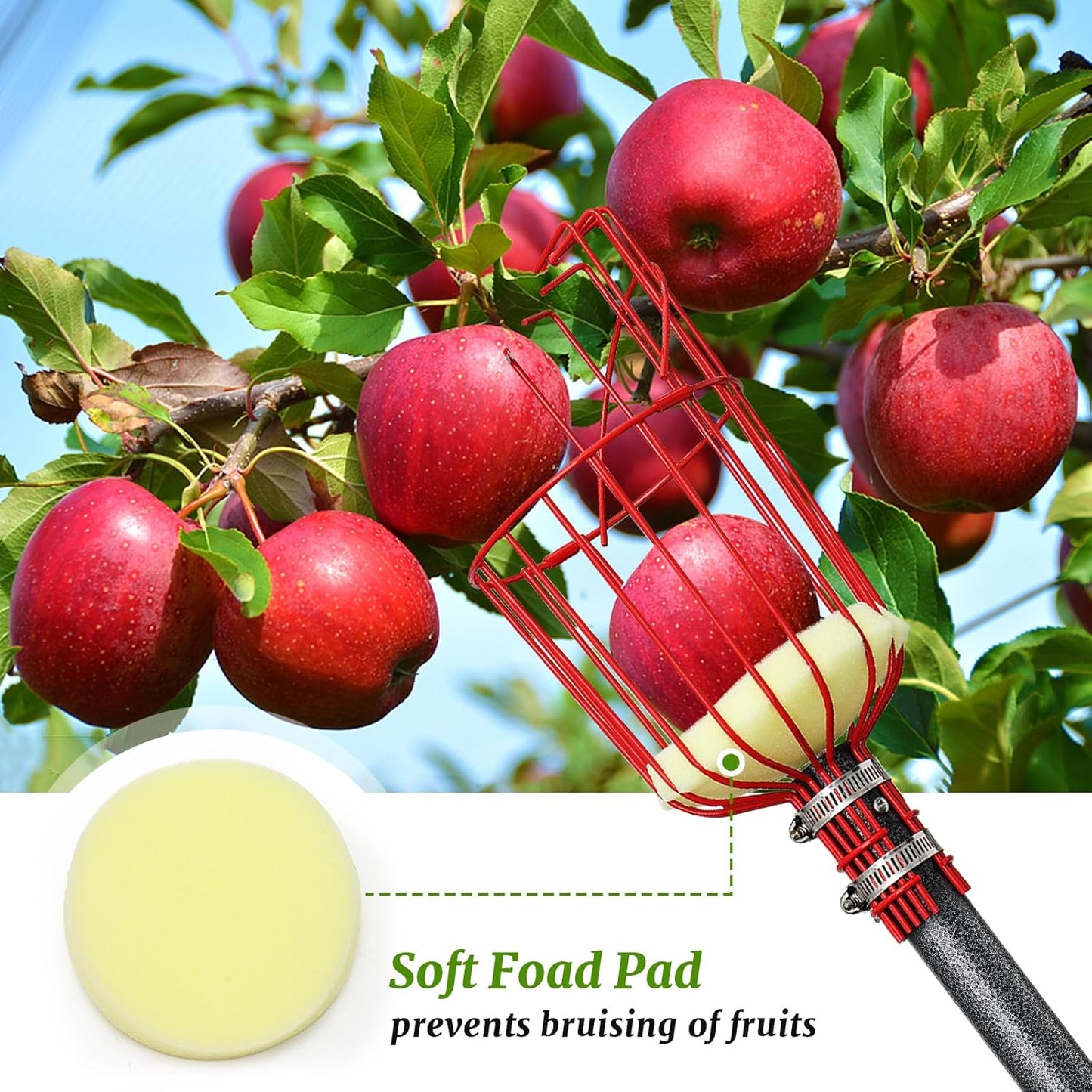 Fruit Picker, Fruit Picker Pole with Basket Extendable Long Handle, Easy to Assemble & Use Fruits Picker Tool for Orange Lemon Apple Mango Avocado (13FT)