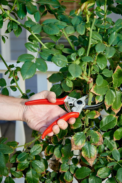 Corona BP 4250 Forged Steel Aluminum Handles Bypass Hand Pruner - 1 inch Cut Capacity Stem and Branch Garden Shears, Red