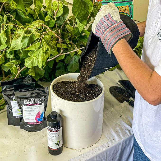 California Super Soil Organic Autoflower Concentrate (5Lbs)