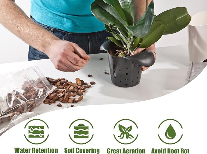 Orchid Bark for Plants, Organic Pine Bark for Proper Root Development for Phalaenopsis, Cattleyas, Dendrobiums, Oncidiums, Paphiopedilums and More (4qt, Large(18-35mm))