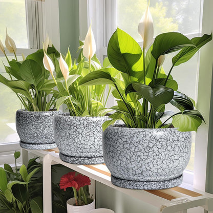 SQOWL 8 inch Plant Pot - Ceramic Planter with Drainage Hole and Saucer, Round Flower Pot for Indoor Plants, Decorative Planter Outdoor, Patio Balcony Decor, House Warming Gifts, Black and White