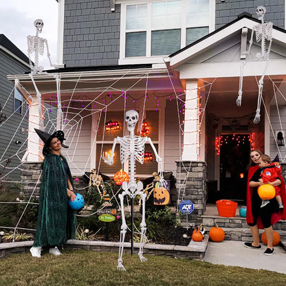 Halloween Skeleton, Realistic Life Size Skeleton with Movable Joints for Halloween Party Haunted House Indoor Outdoor Decoration (5.9ft-1P)