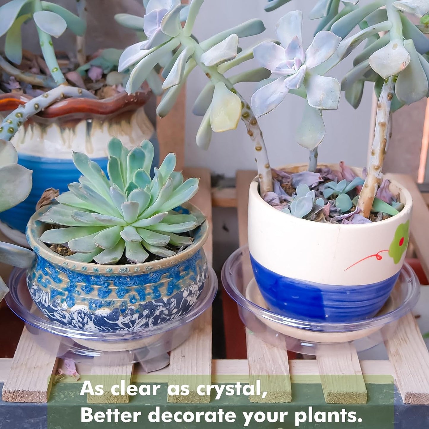 Plant Saucer 30 Pack Plant Trays for Pots 4/6/8 Inch Plastic Plant Saucers for Outdoors and Indoors Clear Drip Trays for Potted Plants Flower Pot Plates to Catch Water Plant Drainage Dishes No Holes