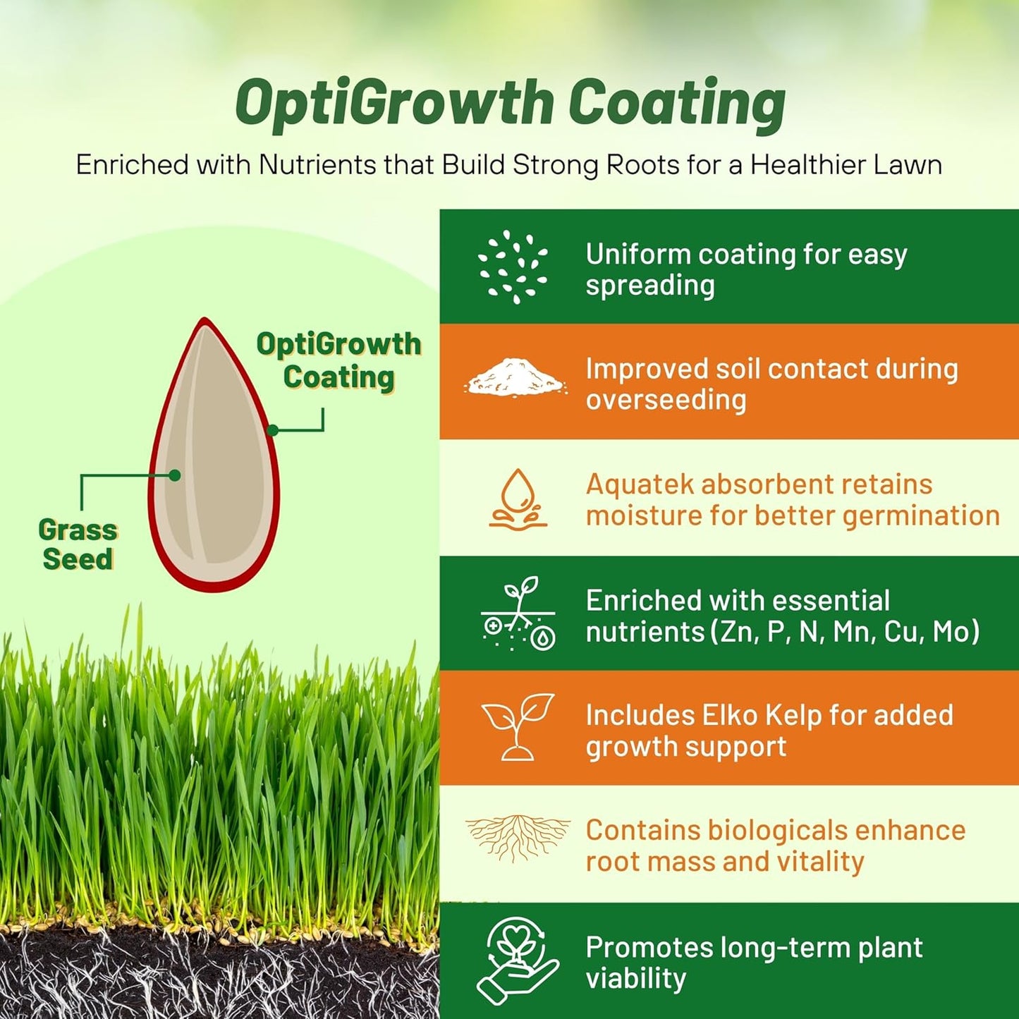 Outsidepride Combat Extreme Southern Zone Grass Seeds for Lawn - 50 lbs. SPF 30 Heat & Drought Tolerant Mix of Turf Type Fescue & Hybrid Bluegrass Seed with OptiGrowth Coating Enhanced Germination