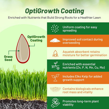 Outsidepride Combat Extreme Southern Zone Grass Seeds for Lawn - 5 lbs. SPF 30 Heat & Drought Tolerant Mix of Turf Type Fescue & Hybrid Bluegrass Seed with OptiGrowth Coating Enhanced Germination
