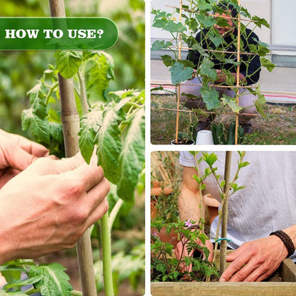 5/8" D 6 Feet Bamboo Stakes 50 Pack, Thicker Heavy-Duty Plant Stakes, Natural Garden Stakes for Bean, Tomato, Bean, Flowers,Trees Potted and Climbing Plant Support