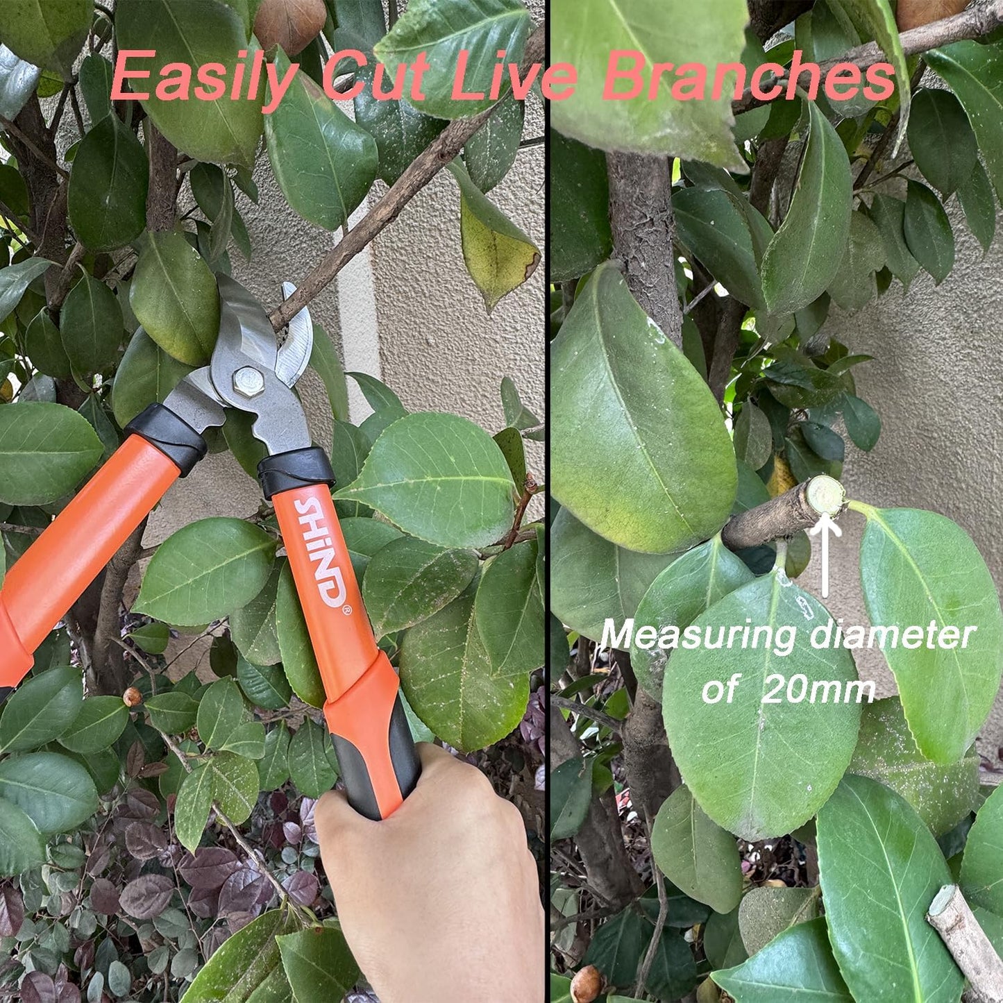 SHIND Lopper Heavy Duty Branch Cutter Tree Clippers with Compound Action, Chops Thick Branch Ease, Garden Loppers Pruning, 15 Inch Tree Trimmer with 1.6” Clean Cut Capacity (15 Inch）