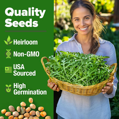 HOME GROWN Arugula Seed 2 Pack – 4350 𝗡𝗢𝗡-𝗚𝗠𝗢 𝗨𝗦𝗔 Vegetable Seeds – Ideal Seeds for Hydroponic Garden Indoor – Premium and Heirloom Arugula Seeds for Planting (Eruca vesicaria)
