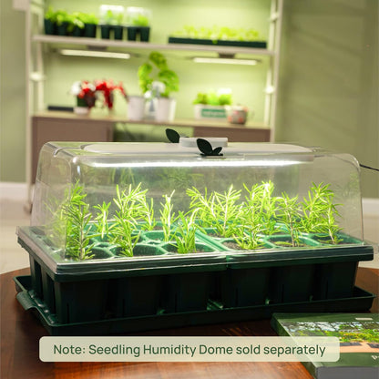 Vego garden Giga Seedling Trays - 16 Pack, 9-Cell UV-Resistant Reusable Starter Trays for Greenhouse/Garden (No Lids)