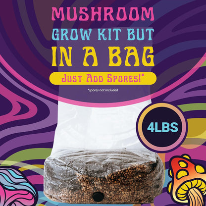 4 LB All-in-One Grow Bag: Up to 32oz of Mushrooms! Nutrient-Enhanced, Injection Port, Just Add Your Own Spores & Grow Like Magic (4 LB Bag)
