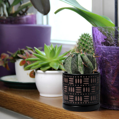 D'vine Dev Set of 2 Ceramic Planter Pots with Drainage Hole and Saucer, 4.5 Inch Plant Pots for Plants Indoor Houseplants, Black, 99-Z-F-2-V