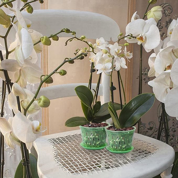 Orchid Pot with Holes and Saucers 5 Inch 6 Pack（Green Emerald）