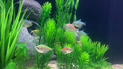 BEGONDIS 18pc Artificial Aquarium Green Plants Set, Realistic/Natural Style, Artificial Plastic Aquarium Plants for Aquarium Decorations