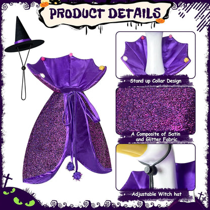 Witch Goose Outfit, 23-inch Halloween Porch Goose Outfit. Goose Clothes for Cement Goose Statue Decor