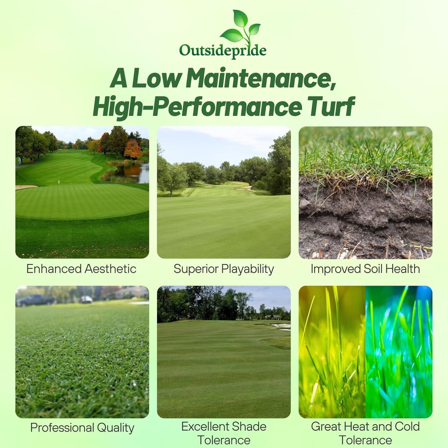 Outsidepride Crystal Bluelinks Creeping Bent Grass Seed - 1 lb. Dense Turf Grass for Golf Greens & Putting Surfaces, Fine-Textured, Tolerant to Close Mowing for Smooth, Consistent Lawn Coverage