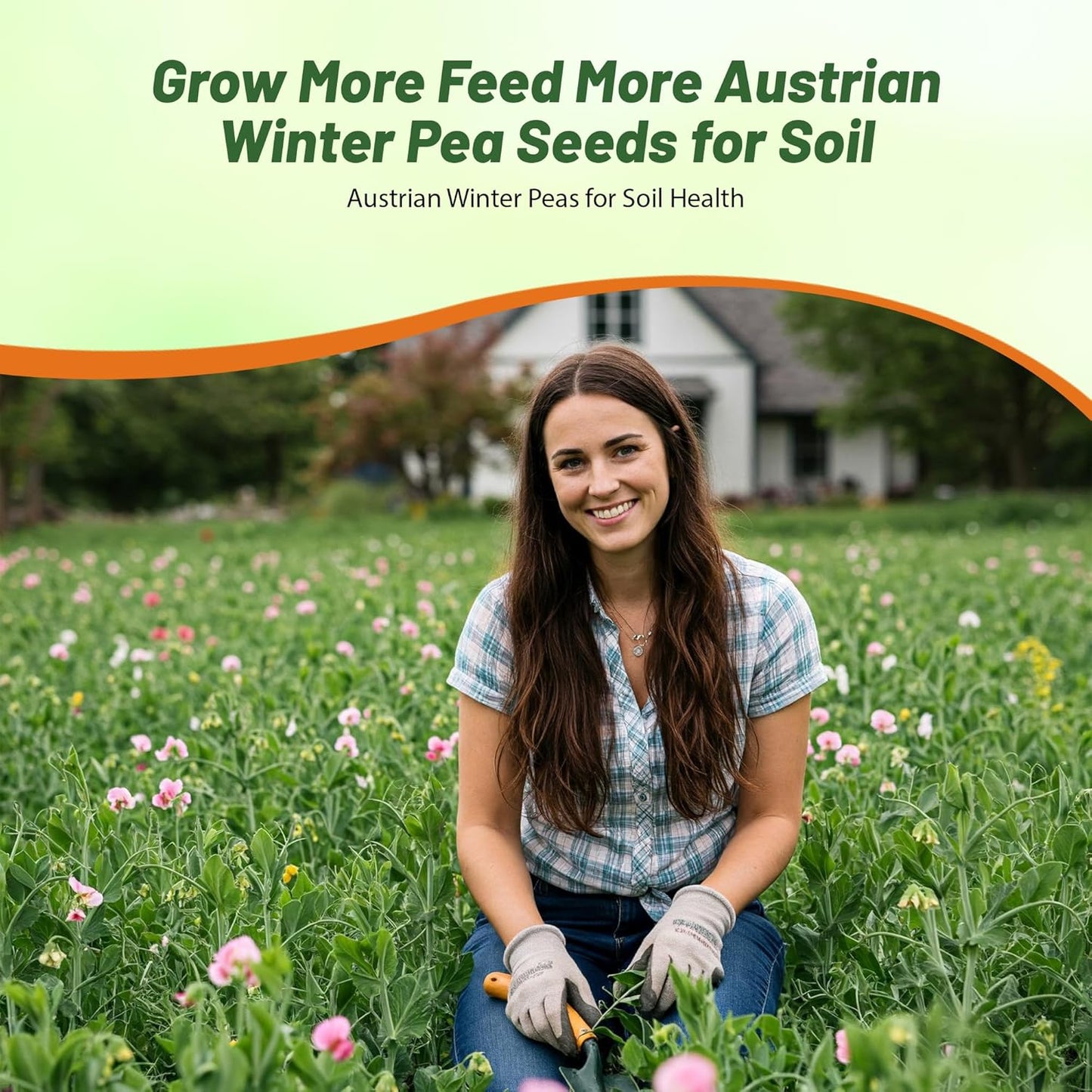 Outsidepride Austrian Winter Peas Seeds for Planting – 1 lbs Bag (Cool-Season Cover Crop, High-Protein Deer Food Plot Seed) Field Peas, Cover Crop Seeds, Spring Mix for Soil Health & Forage