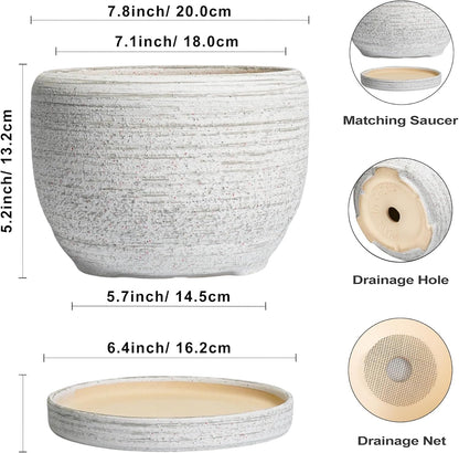 SQOWL Ceramic Plant Pots - 8 inch Planter for Indoor Plants, Round Flower Pot with Drainage Hole and Plant Saucer, Modern Decorative Ceramic Planter Outdoor, Home Room Decor, Garden Gifts, Gray