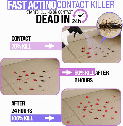 Granny Dee’s Silverfish Killer Indoor & Outdoor (Made in USA) - Kills Pests in 24 Hrs - Plant-Based Bug Killer with Peppermint Oil - Safe for Pets & Kids - Targets Earwigs, Ants, Insect, Fly & Spider