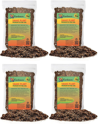 GARDENERA Premium Snake Plant Potting Soil Mix - 10 Quart - Green Sansevieria Trifascatia Zeylanica Plants, Plant or Re-Pot Your Snake Plant (2 Bags of 5 Quart)
