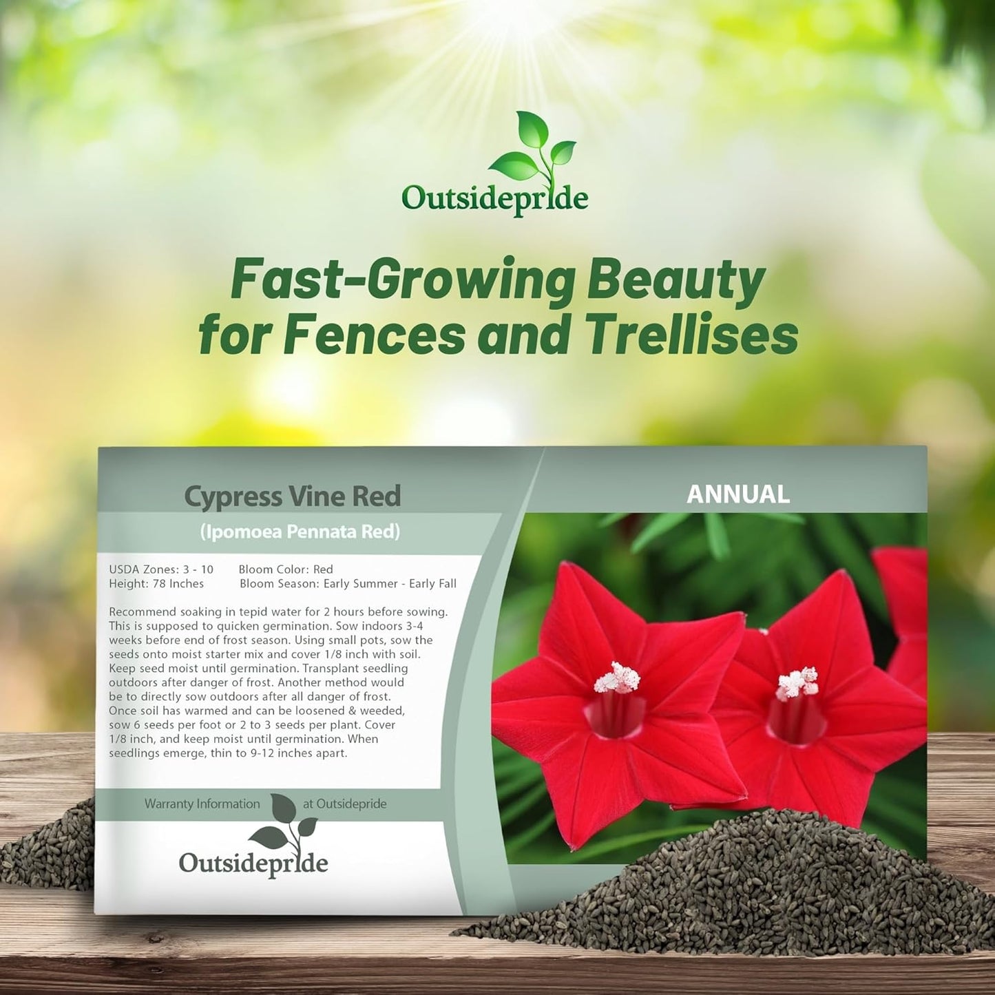 Outsidepride Red Cypress Vine Seeds - 100 Pcs Annual Flower Seeds with Nectar-Rich, Star-Shaped Flowers & Feathery, Fern-Like Leaves for Fences, Trellises, Pergolas & Vertical Gardens