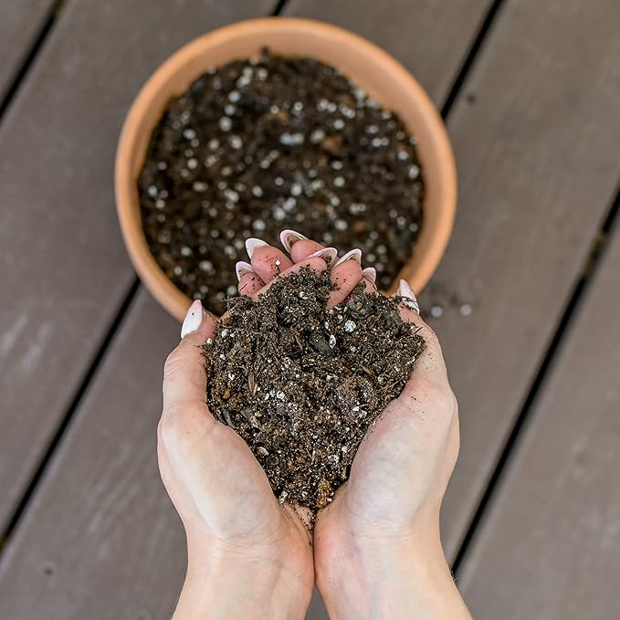 Philodendron Plant Potting Soil Mix (8 Quarts), Special Blend for Heart Shape Philodendron Plants Et Al.
