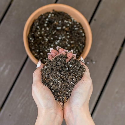 Philodendron Plant Potting Soil Mix (8 Quarts), Special Blend for Heart Shape Philodendron Plants Et Al.