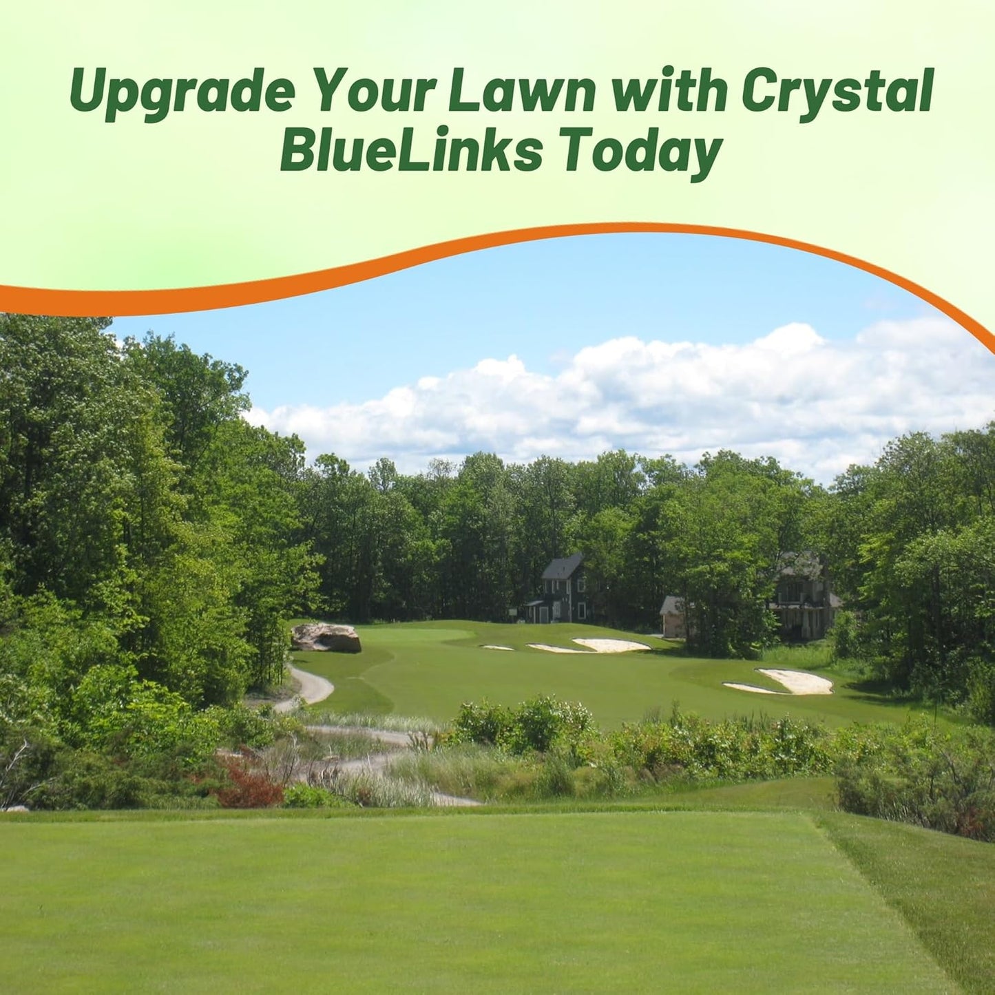 Outsidepride Crystal Bluelinks Creeping Bent Grass Seed - 5 lbs. Dense Turf Grass for Golf Greens & Putting Surfaces, Fine-Textured, Tolerant to Close Mowing for Smooth, Consistent Lawn Coverage