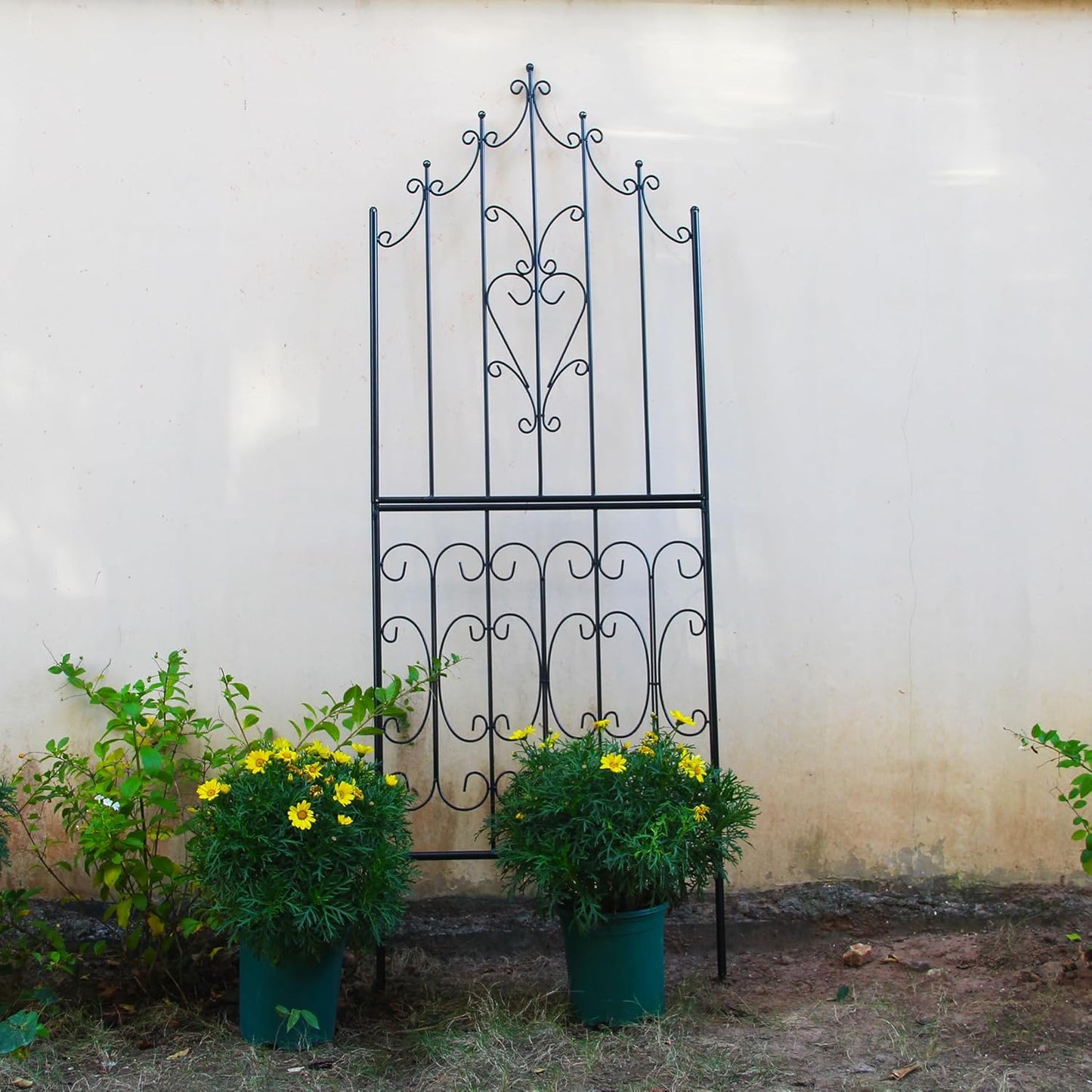 Trellis for Climbing Plants 70.8" H x 25.6" W Metal Premium Quality Material Rust-Resistant Climbing Frame Stylish Garden Addition Outdoor Roses Vine Ivy Clematis Trellises Black