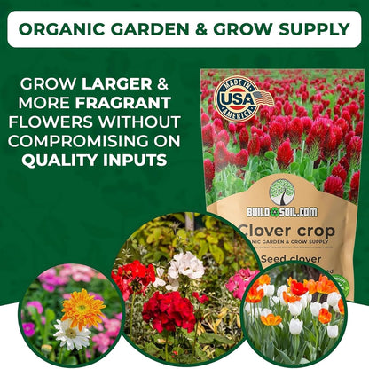 BuildASoil No-Till Clover Seed Cover Crop Blend 12 Species Cover Crop Seed Mix Premium Clover Seeds for Lawn - Plants Friendly Cover Crop for Garden - 60% Clover (1 lb Bag)