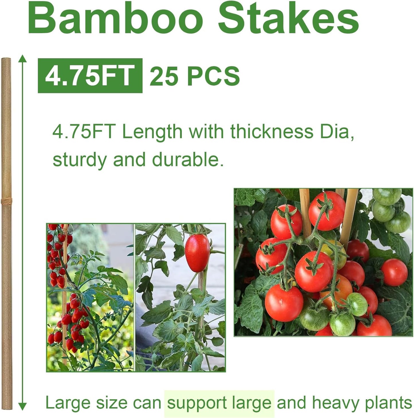 Bamboo Garden Stakes 57 Inch 25pcs, 1/2" Dia Plant Stakes 5ft Approx for Indoor Outdoor Plants, Support Tomato, Cucumber, Beans and More Climbing Plants