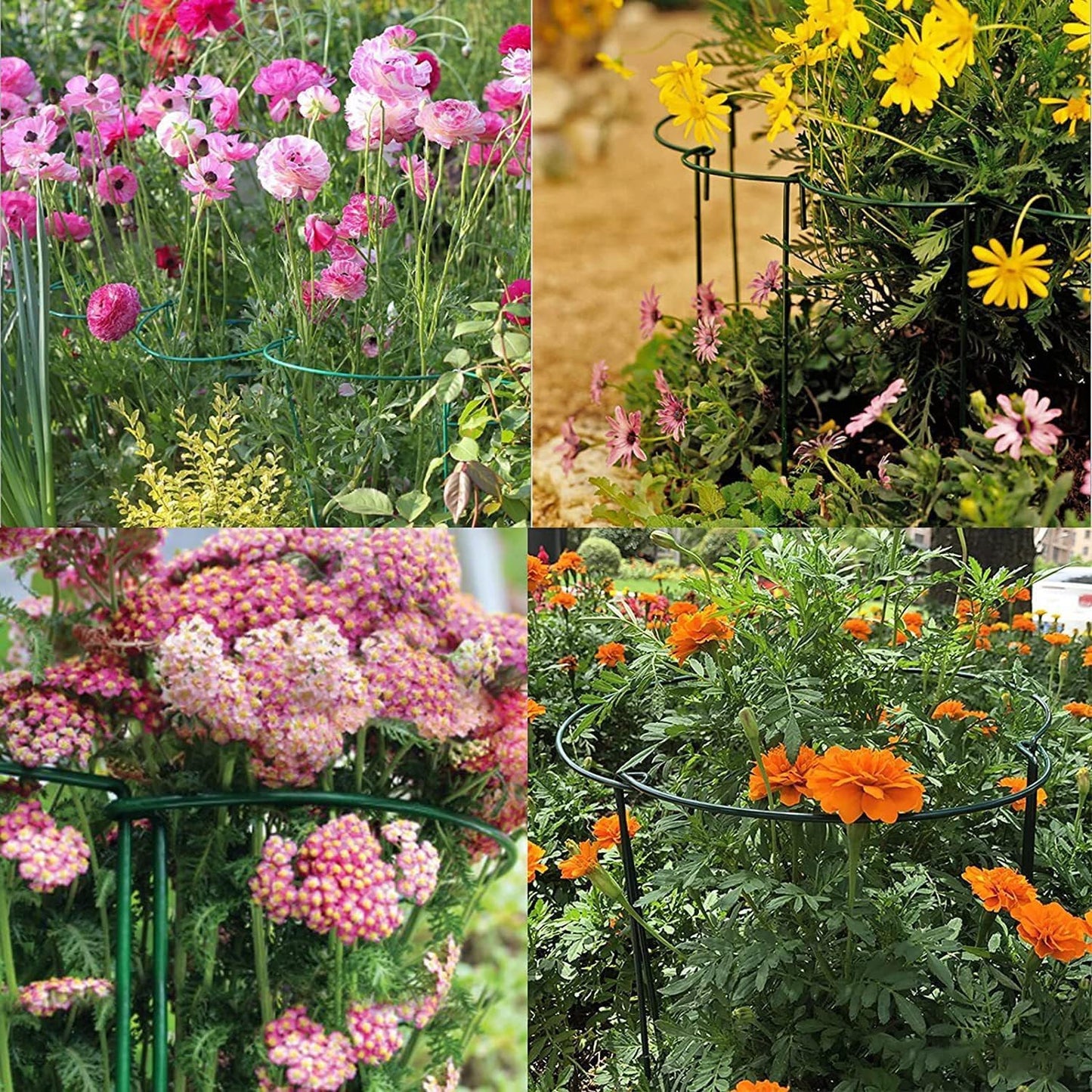 10 Pack Plant Support Stakes 16 Inch Plant Stakes for Outdoor and Indoor Plants,Peony Cages and Supports Plant Stem Support Flower Metal Stakes for Gardening Peonies Support Cages for Plants