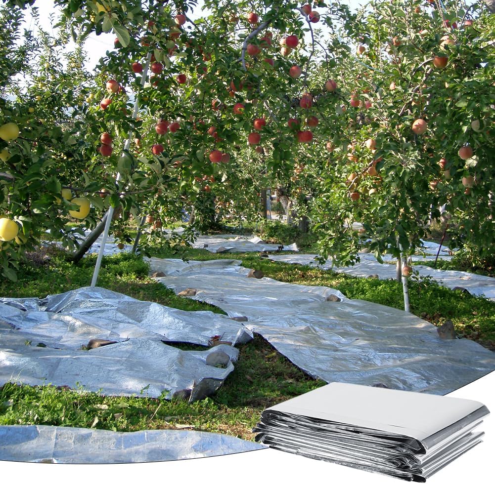High Silver Reflective Mylar Film, Plant Reflective Film Mylar Sheet Greenhouse Covering Foil Sheets Increase Plant Growth for Outdoor Indoor Grow Room Farming Camping Reduce Uneven Heat