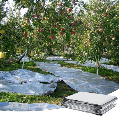 High Silver Reflective Mylar Film, Plant Reflective Film Mylar Sheet Greenhouse Covering Foil Sheets Increase Plant Growth for Outdoor Indoor Grow Room Farming Camping Reduce Uneven Heat