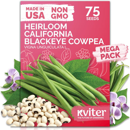 KVITER 75 California Black Eyed Peas Seeds for Planting (Vigna Unguiculata L.) — Cowpeas, Heirloom, Non GMO & Organic Peas, Field Peas, Heavy Yield — Vegetable Seeds for Outdoor Garden, Containers