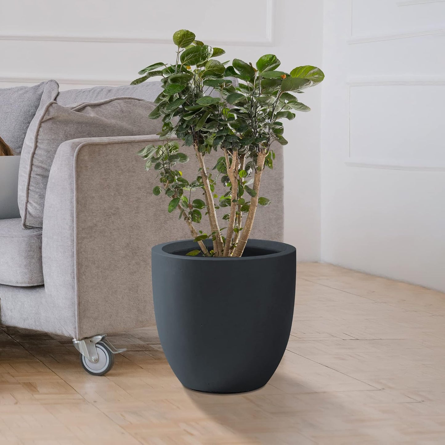 Kante 16.5" Dia Round Concrete Planter, Large Outdoor Modern Indoor Decorative Plant Pots with Drainage Hole and Rubber Plug for Home and Garden, Charcoal