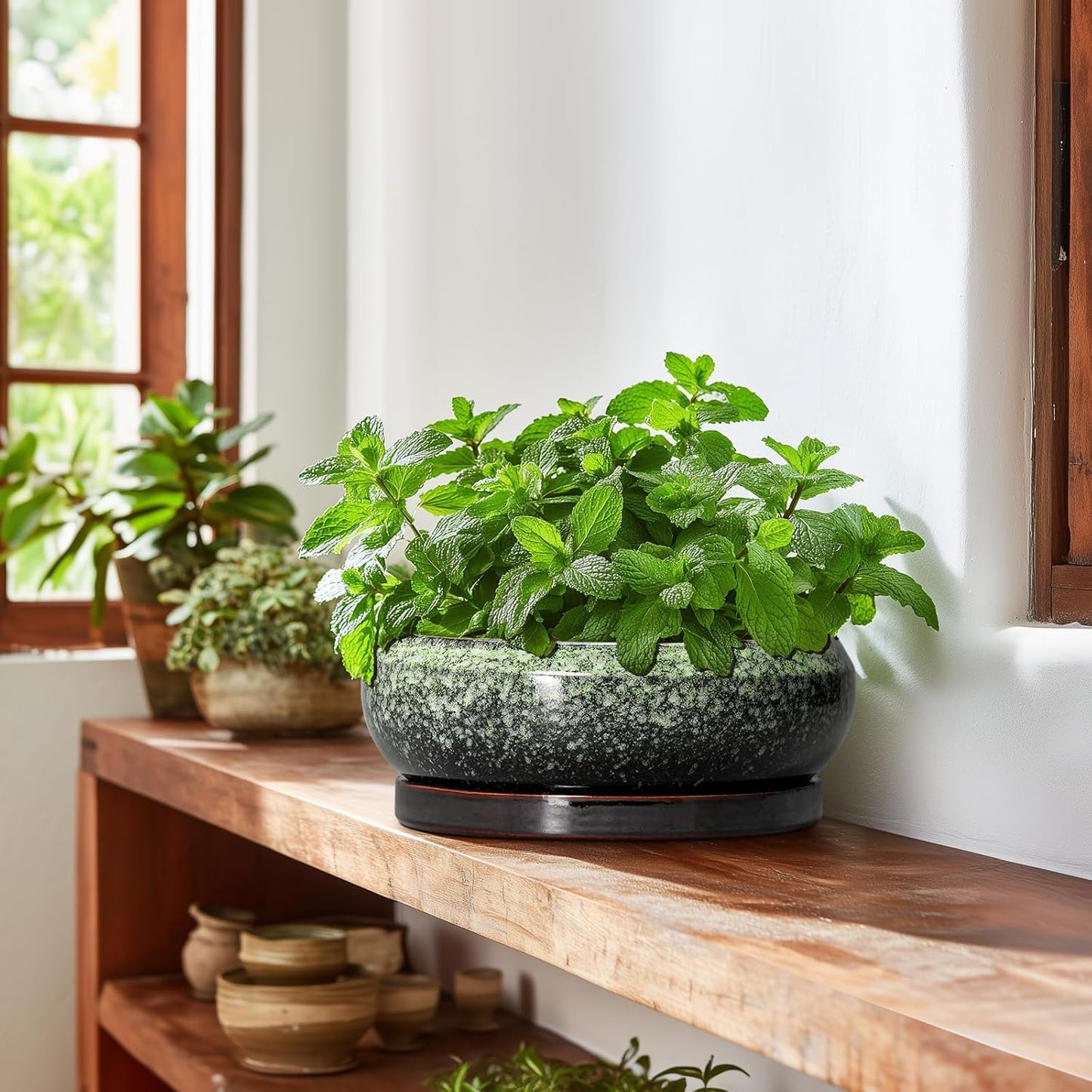 Bonsai Pots 10 Inch - Ceramic Pots for Plants Indoor Outdoor, Succulent Pot with Drainage Hole and Saucer, Large Bonsai Planter, Round Shallow Planter, Office Decor, Gardening Gift, Green
