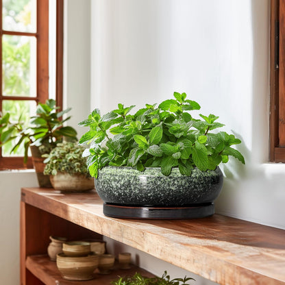 Bonsai Pots 10 Inch - Ceramic Pots for Plants Indoor Outdoor, Succulent Pot with Drainage Hole and Saucer, Large Bonsai Planter, Round Shallow Planter, Office Decor, Gardening Gift, Green
