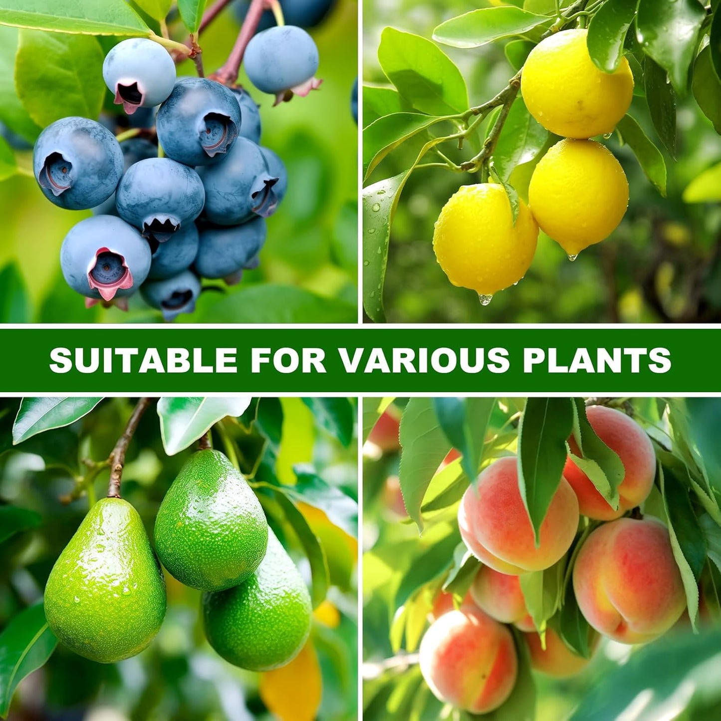 Outlet [4 Pack] Garden Plant Netting - 2 Sizes, Net Cover Bags for Blueberry Bushes, Tomatoes, and Vegetables - Garden Netting for Optimal Plant Protection.