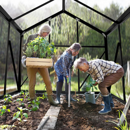 VINGLI 6x10 FT Greenhouse for Outdoors, Twin-Wall Translucent Heavy Duty Polycarbonate Greenhouse Kit with 5 Roof Vents, Weather Resistance for Plants Protection, for Home Gardening (Black, 6x10 FT)