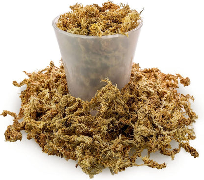 Gardenera Premium New Zealand Sphagnum Moss - Organic Hand Mixed Long Fibered Sphagnum Moss Orchid - 3 Quart